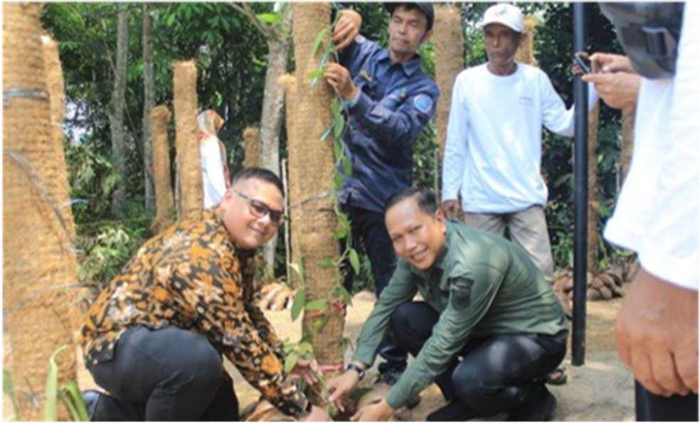 Penyerahan 1.500 Bibit Vanili di Koto Masjid